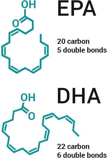 EPA & DHA Molecules